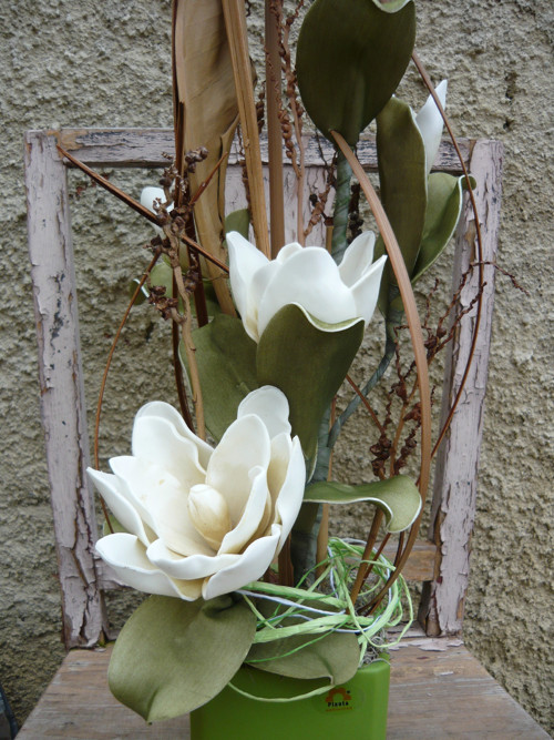 Pěnová magnolie — foto 3