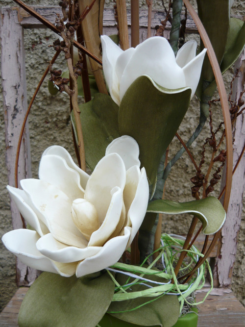 Pěnová magnolie — foto 4