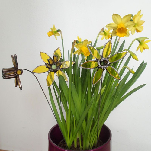 Zápich do květináče - narcis — foto 5