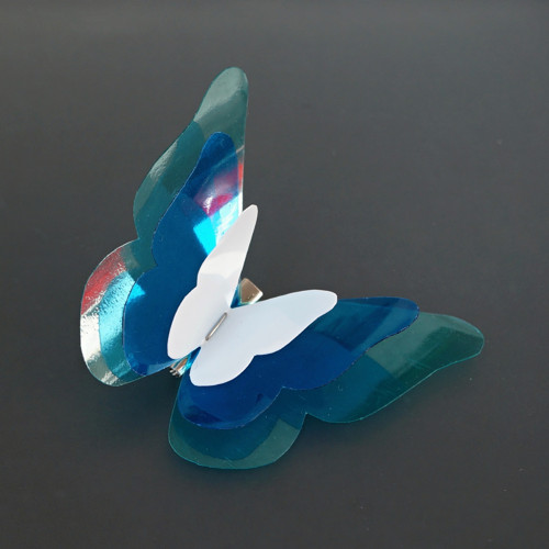 Sada 2 broží Papilio frigeo — foto 2