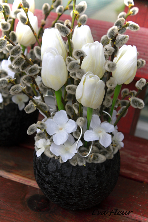 Páni Tulipáni a jejich kočičky — foto 2