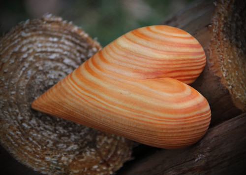 Modřínové dlachňadlo — foto 4