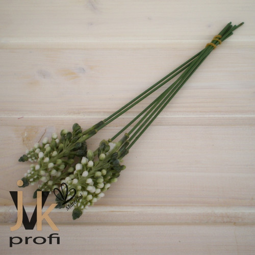 Modřence - bílé — foto 3