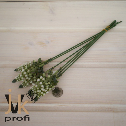 Modřence - bílé — foto 5