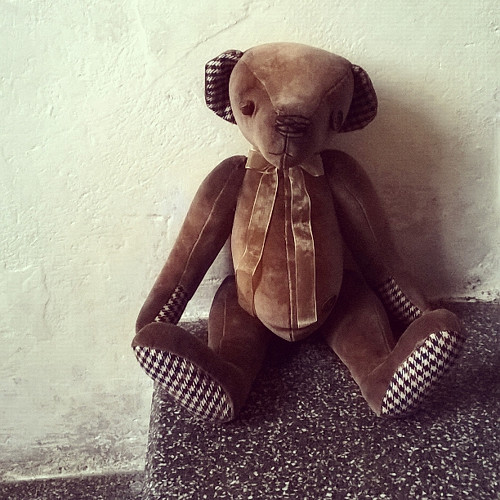 Medvídek Jednoočko — foto 2