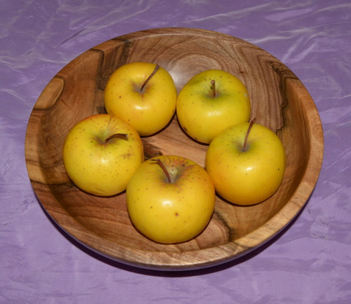 Ořechová — foto 2