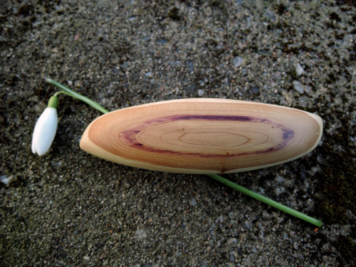 Jemnocitná — foto 2