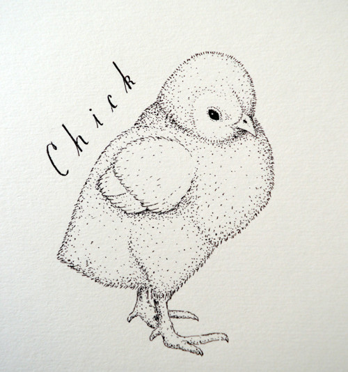 C h i c k — foto 2