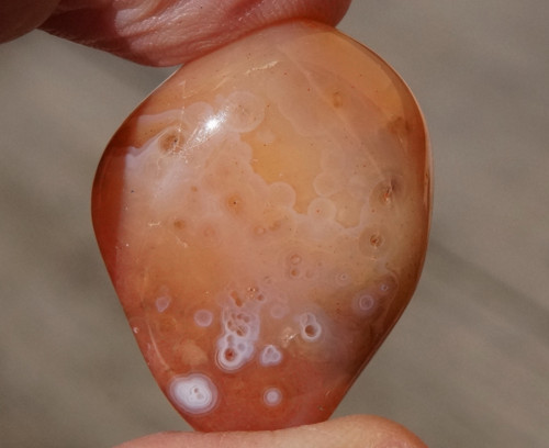 Karneol D2054 — foto 2