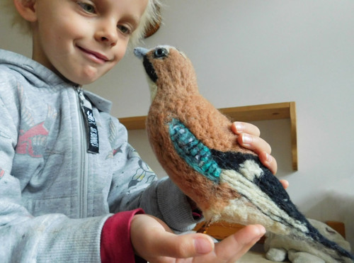 Chytil táta sojku — foto 4