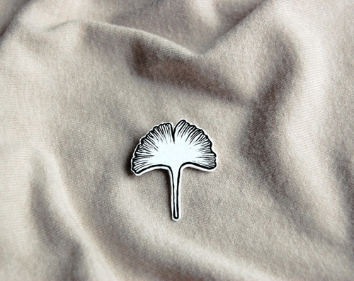 Ginkgo — foto 2