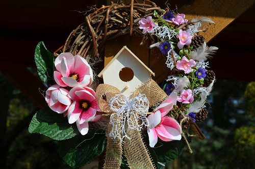 Ptačí budka v magnolii — foto 3