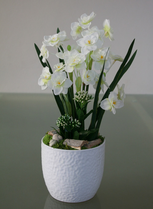 Něžné narcisky — foto 2