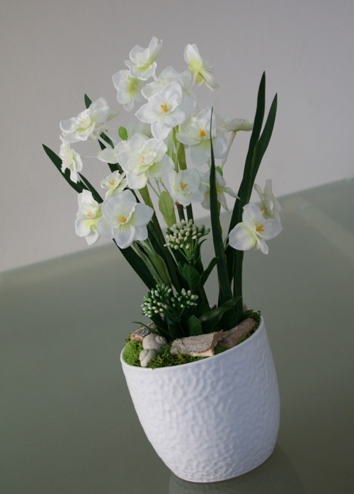 Něžné narcisky — foto 3