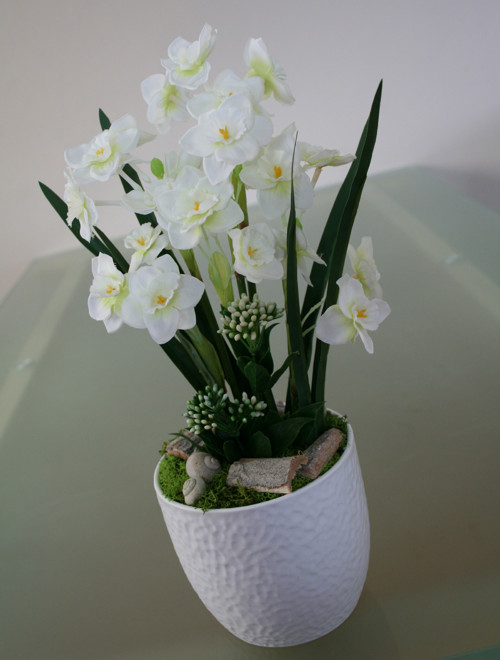 Něžné narcisky — foto 4