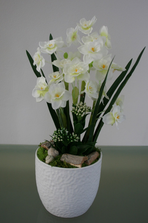 Něžné narcisky — foto 5