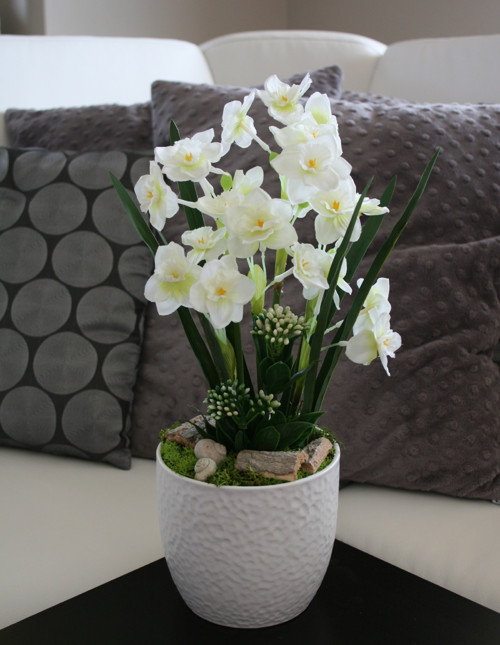 Něžné narcisky — foto 6