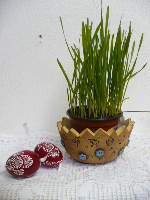 Mini-skořápka poměnky — foto 6