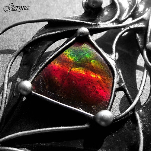 Ammolitus iridium — foto 2