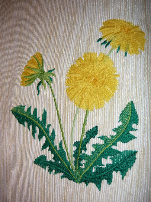 Prostírání pampeliška — foto 4
