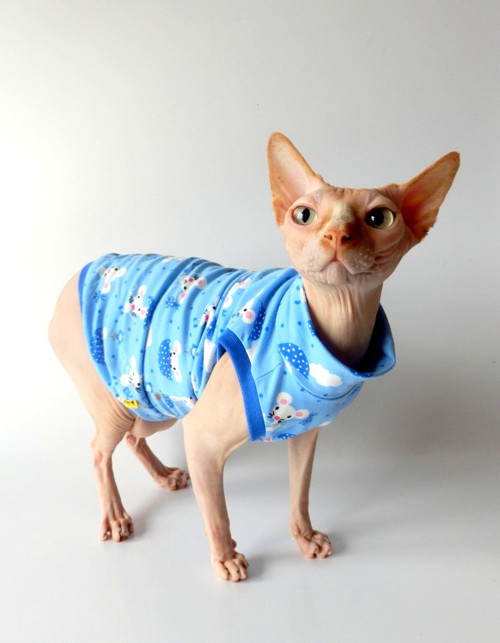 Myšičkové tričko pro sphynxíky:-) — foto 2