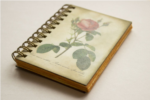 Rose — foto 2