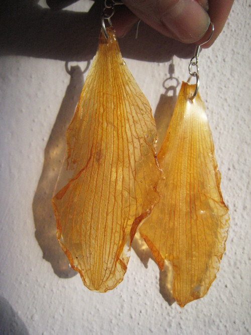 Iris... — foto 4