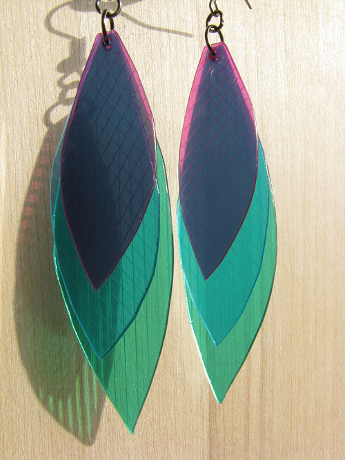 Parrot fish — foto 3