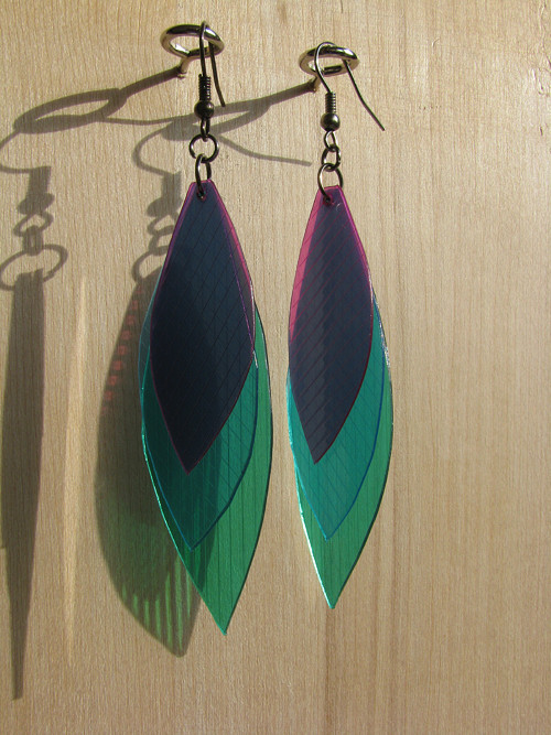 Parrot fish — foto 4