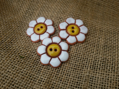 Kopretinové knoflíky — foto 2