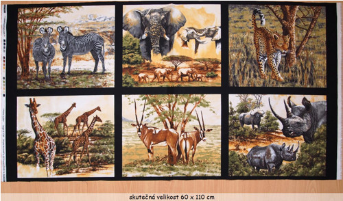 Safari - panel — foto 2