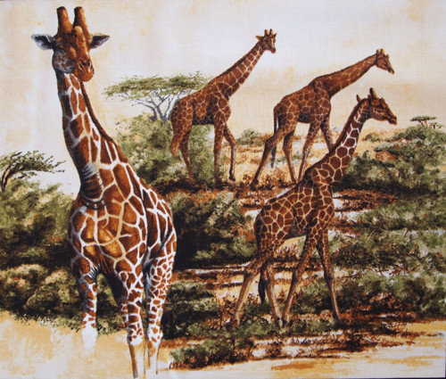 Safari - panel — foto 3