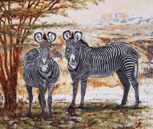 Safari - panel — foto 4