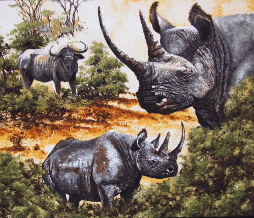 Safari - panel — foto 5