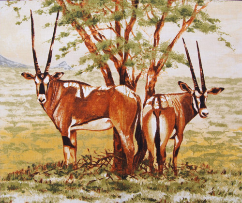 Safari - panel — foto 6