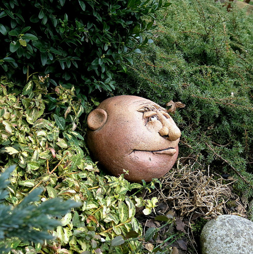 Zahradní Kámen-Valoun — foto 3