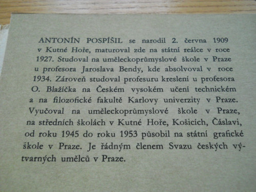 Ptáci — foto 3