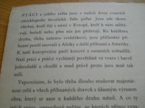 Ptáci — foto 4