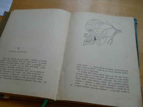 Broučci - výbor z díla — foto 2