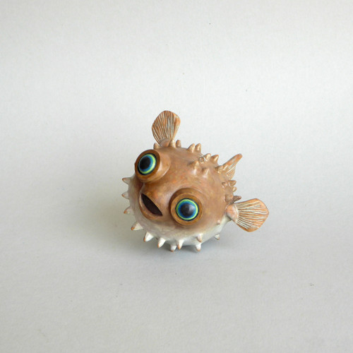 Z hlubin — foto 4