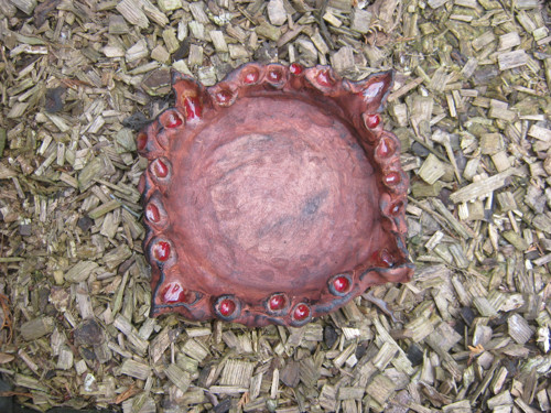 Mísa extravagantní — foto 2