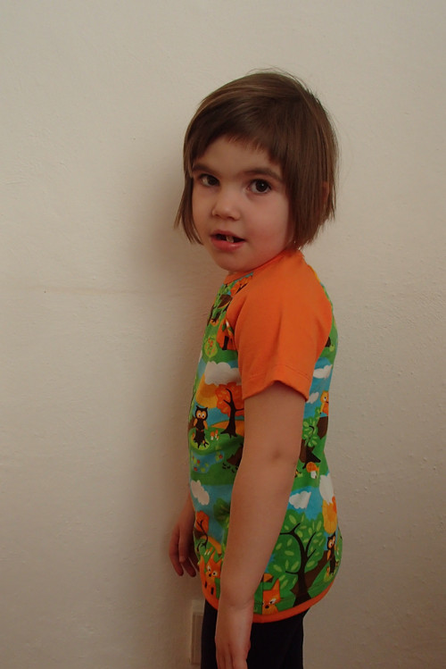 Zvířátka v lese — foto 3