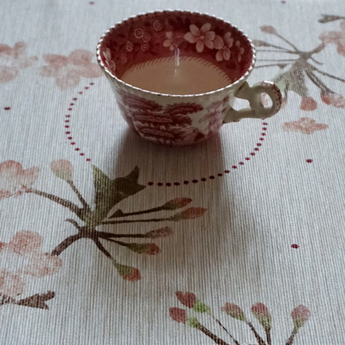Třešňové vzpomínky — foto 5