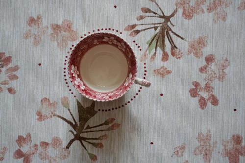 Třešňové vzpomínky — foto 6