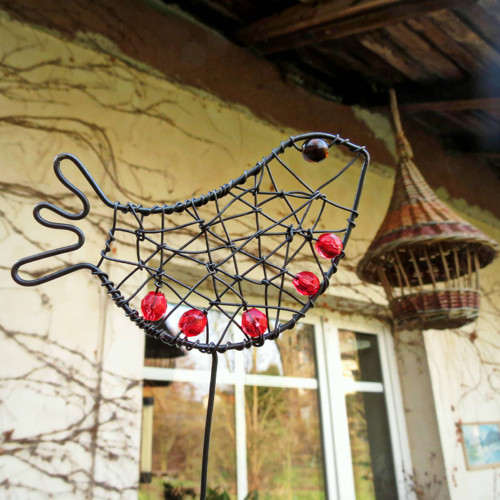 Ptáček — foto 5