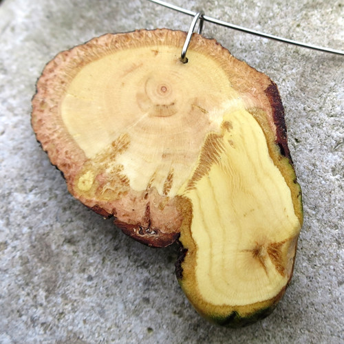 Houbařův talisman — foto 2
