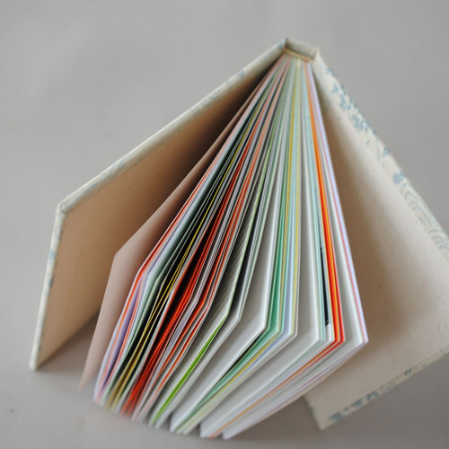 Notes Liška nebeská — foto 4