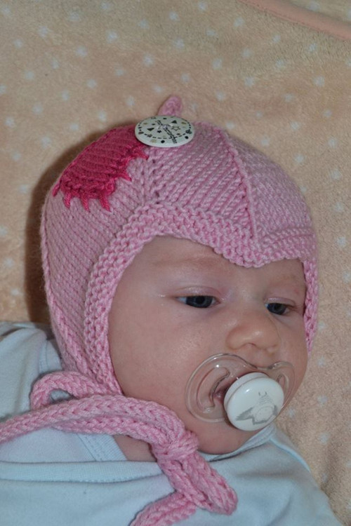 Jedna malá růžová — foto 2