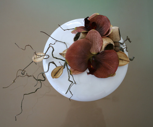 Celoroční dekorace s hnědými orchidejemi — foto 2