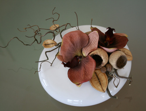 Celoroční dekorace s hnědými orchidejemi — foto 6